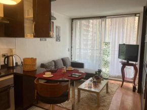 Cómodo y céntrico departamento en Santiago